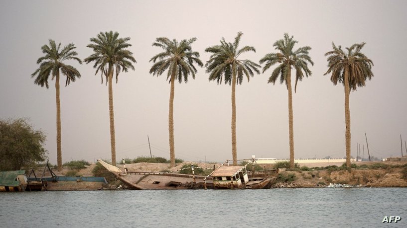 IRAQ-AGRICULTURE-PALM