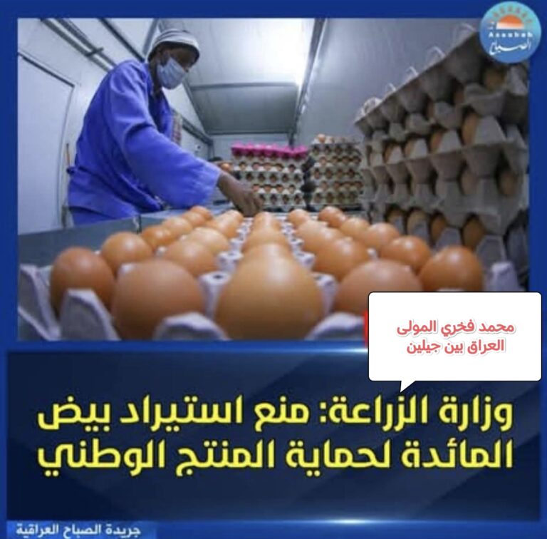 IMG_٢٠٢٥١٢٢٦_٠٨١٥٥٤