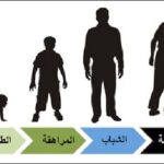 مراحل النمو