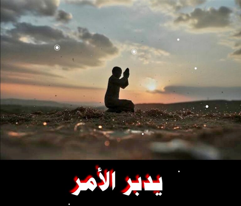 WhatsApp Image 2026-04-22 at 8.40.01 PM