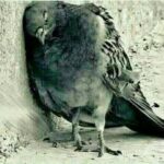WhatsApp Image 2026-05-17 at 6.05.30 PM