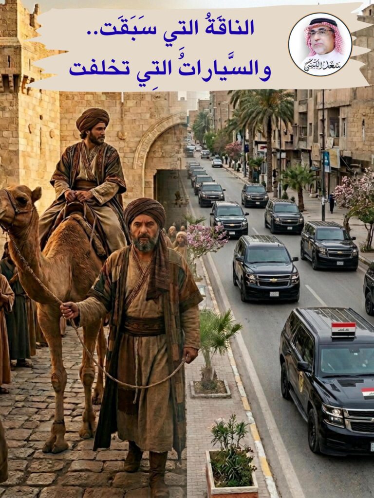 ناقة