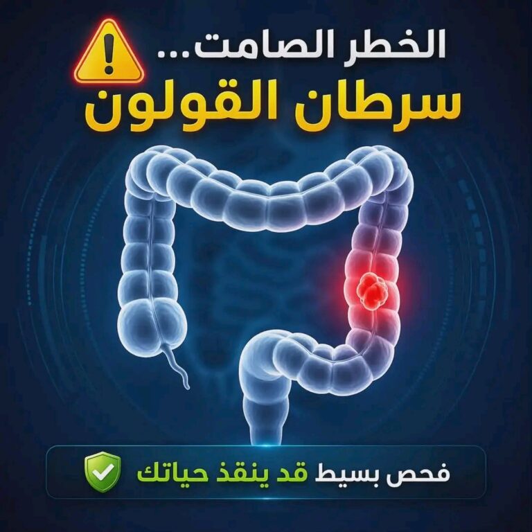 1780154445505