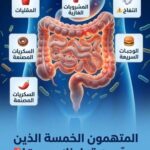 Screenshot_٢٠٢٦٠٦٠٧-٠٤٠٢٣٣_Lite-1