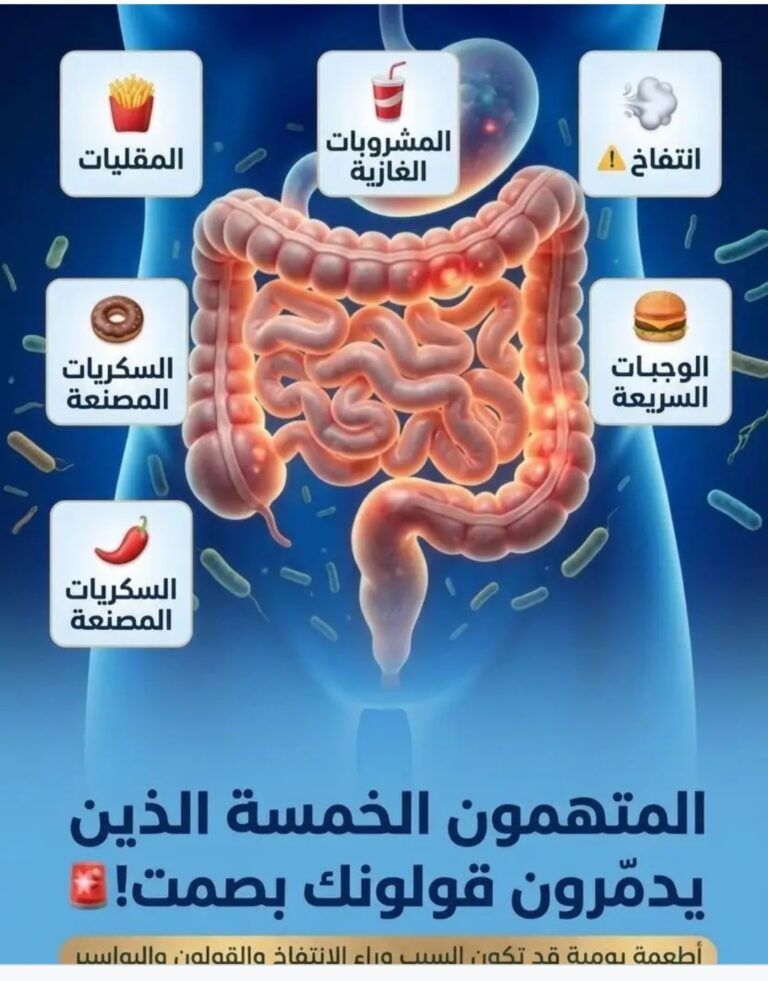 Screenshot_٢٠٢٦٠٦٠٧-٠٤٠٢٣٣_Lite-1
