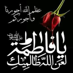 1000399446